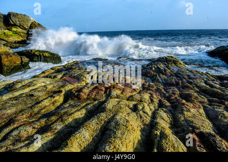 Il lavaggio delle onde sulle rocce Kerala oceano Indiano Foto Stock