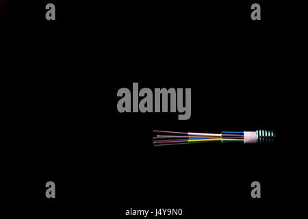 Cavo a fibra ottica - fibra a casa internet. Close up, isolato con sfondo nero. Foto Stock