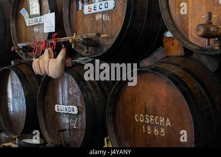 Bar di vino di Malaga Foto Stock