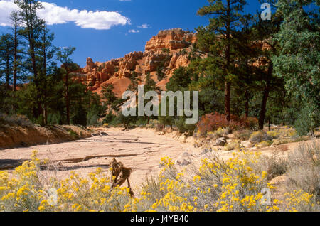 Vicino a Mt. Carmelo Junction, Utah 9 13 Foto Stock