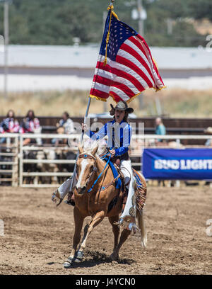 Rodeo Junior team di perforazione da Redding esegue a pioppi neri americani Rodeo in California. Foto Stock