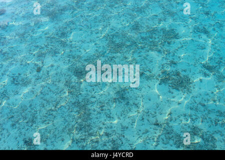 Mare o oceano con trasparente blu acqua Foto Stock