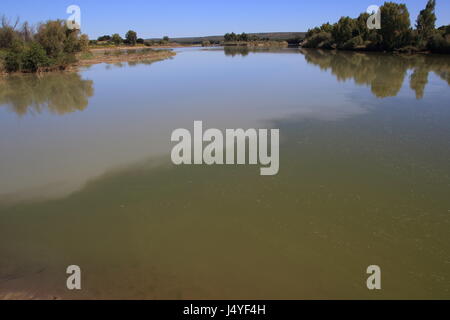 La confluenza del Vaal e Orange fiumi presso la città di Douglas nel Northern Cape del Sud Africa Foto Stock