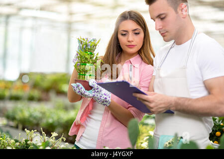 Lavoratori in serre riscaldate la misura della crescita di bambù e il suo progresso Foto Stock