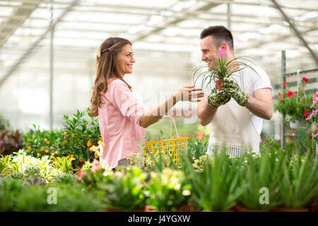 Il cliente cerca consigli del venditore per l'acquisto di fiori nel negozio di serra Foto Stock