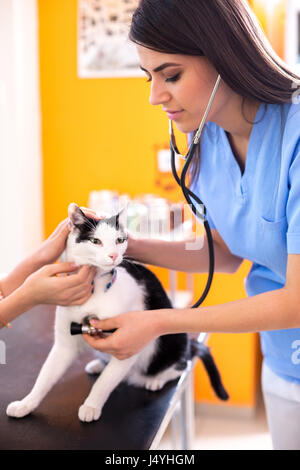 Bella veterinario in ascolto del gatto di respirazione a suo vet ambulatoriamente Foto Stock