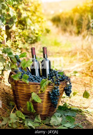 Bottiglie di vino rosso e uva nel cesto di vimini Foto Stock