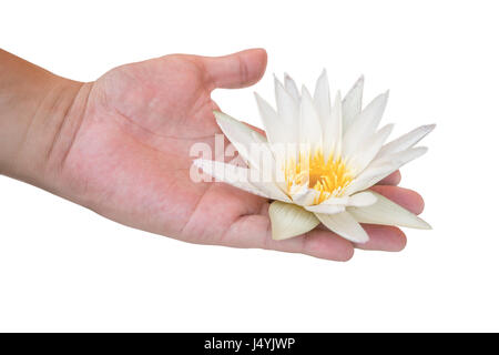 Giovane Azienda white Lotus nel suo palm con tracciato di ritaglio Foto Stock