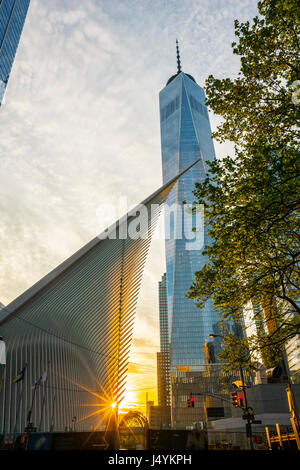 World Trade Center Hub di trasporto al tramonto da Santiago Calatrava e costruzione di One World Trade Center sul retro, New York Foto Stock