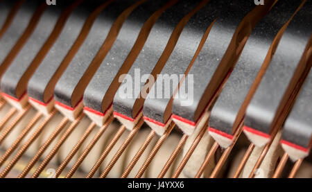 Primo piano di un gruppo di un segnale acustico di grand piano smorzatori di stringhe di toccare la ferita delle stringhe. Foto Stock