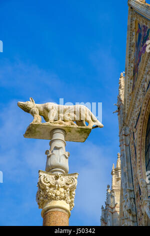 Lupa con Romolo e Remo di fronte al Duomo di Siena, Cattedrale di Santa Maria Assunta, Siena e Provincia di Siena Foto Stock