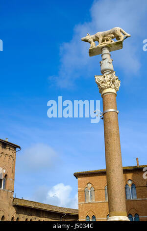 Lupa con Romolo e Remo di fronte al Duomo di Siena, Cattedrale di Santa Maria Assunta, Siena e Provincia di Siena Foto Stock