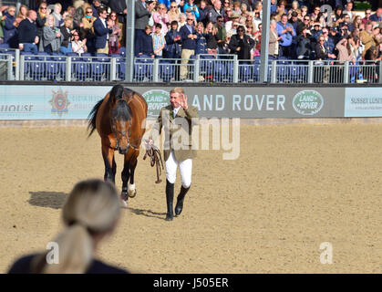 Windsor, Berkshire, Regno Unito. 14 Maggio, 2017. Il pensionamento di Nick Skelton e grande stella ha avuto luogo nel castello oggi Arena . La grande stella, con cui Skelton ha partecipato a due Giochi Olimpici, camminava intorno all'Arena il giorno finale della Royal Windsor Horse Show o Credit Gary Blake/Alamy Live News Foto Stock