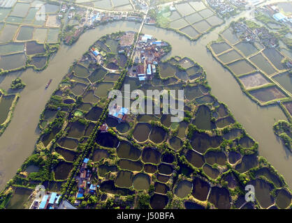 Huzhou. 13 Maggio, 2017. Foto aerea adottate il 13 Maggio 2017 mostra mulberry stagni di pesce in Nanxun District, Huzhou città di East cinese della Provincia di Zhejiang. Il Mulberry pesce stagno è una speciale dike-stagno, la modalità integrata di stagni di pesci di allevamento del baco da seta di gelso. Credito: Wang Dingchang/Xinhua/Alamy Live News Foto Stock