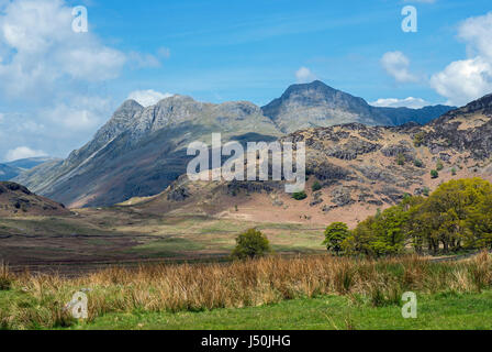 The Langdale Pikes da vicino Blea Tarn nel Parco nazionale del Lake District Cumbria Foto Stock