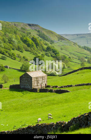 Dales granaio di Keld remoto villaggio di agricoltura Swaledale superiore, le valli dello Yorkshire, Inghilterra, Giugno 2016 Foto Stock