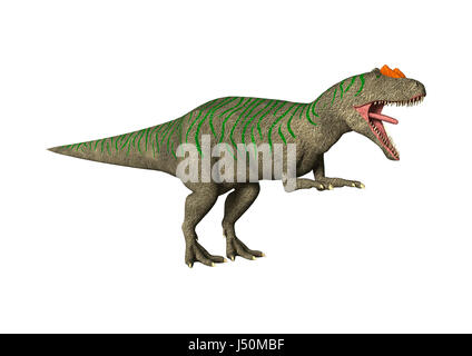 3D rendering di un dinosauro Allosaurus isolati su sfondo bianco Foto Stock