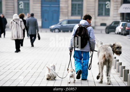 Dog sitter a Parigi, Francia Foto Stock