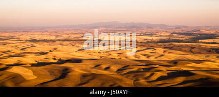 La mattina presto luce colpisce le aziende agricole e i campi della Palouse nello Stato di Washington Foto Stock