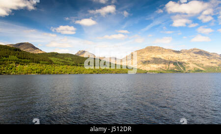 Linee di bosco di versanti sulle rive di Loch Lomond nella West Highlands della Scozia. Foto Stock