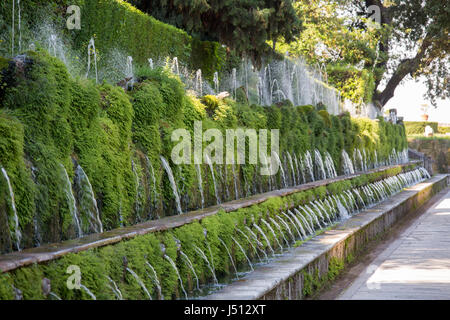 Le cento fontane, giardini, Villa d'Este, Tivoli, vicino Roma, Italia Foto Stock
