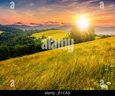 Agricola campo di fieno in montagna. alberi sul prato erboso. splendido paesaggio di campagna al tramonto Foto Stock