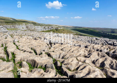 Pavimentazione di pietra calcarea in cima Malham Cove, Malham, Malhamdale, Yorkshire Dales National Park, North Yorkshire, Inghilterra, Regno Unito. Foto Stock