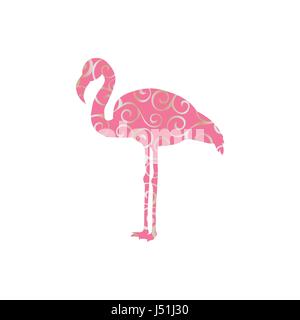 Flamingo bird colore animale silhouette Illustrazione Vettoriale