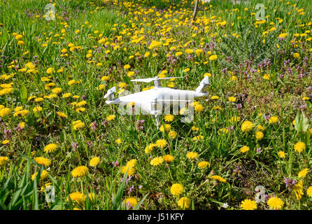 Krasnodar, Russia - 14 Aprile 2017: Quadrocopter DJI Phantom 4 è in una radura con fiori di tarassaco. Foto Stock