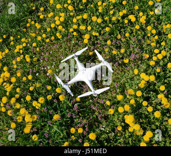 Krasnodar, Russia - 14 Aprile 2017: Quadrocopter DJI Phantom 4 è in una radura con fiori di tarassaco. Foto Stock