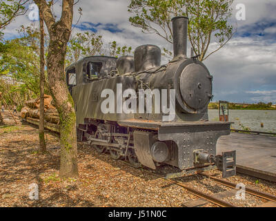 Luodong, Taiwan - 18 Ottobre 2016: una locomotiva treno portando albero della canfora in Luodong cultura forestale Garden Foto Stock