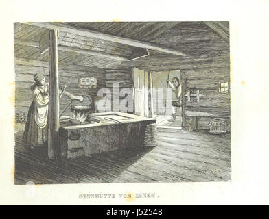 Il 'DAS Kaiserthum Oesterreich' è un'opera storica che descrive l'Impero austriaco, con illustrazioni e contributi artistici. Il libro fornisce uno sguardo approfondito sugli aspetti politici, culturali e sociali dell'Austria durante il culmine dell'impero nel XIX secolo. Foto Stock