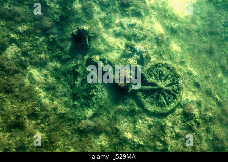 Una bicicletta che è stato gettato in un fiume locale e si sta lentamente ricoperte da alghe e subacqueo vita vegetale nonché danneggiamento ambientale Foto Stock