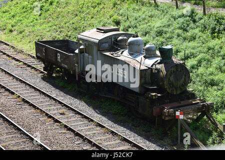 Rm 1959, STATI UNITI D'AMERICA 0-6-0T serbatoio motore a Bluebell Railway con SR plank carro Foto Stock