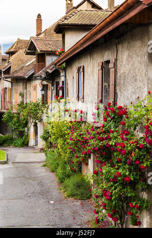 Annecy le Vieux in Savoia Alta Savoia regione della Francia case caratteristiche e architettura fiume che scorre attraverso la vecchia città medievale Foto Stock