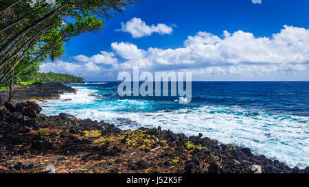 Costa rocciosa lungo la costa di Puna, Pahoa, la Big Island delle Hawaii, STATI UNITI D'AMERICA Foto Stock