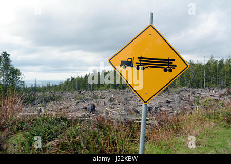 La registrazione di un segno del carrello accanto a una seconda fase di crescita una chiara definizione della foresta pluviale nei pressi della città di Port Renfrew, Isola di Vancouver, British Columbia, Canada. Foto Stock