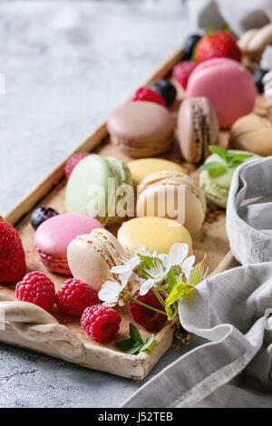 Varietà di coloratissimi francese dessert dolci macarons con vari ripieni serviti sul vassoio di terracotta con fiori di primavera e bacche su texture grigio Foto Stock