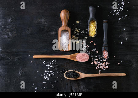 Varietà di diverse sale colorato zafferano giallo, rosa, nero himalayan, mare bianco e fleur de Sel in cucchiai di legno sul nero di legno bruciato backgroun Foto Stock