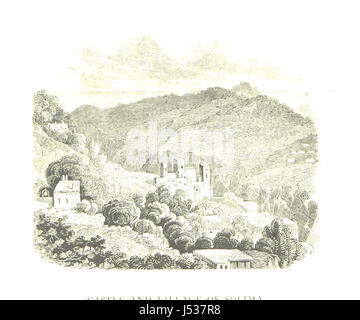 Viaggi da e verso Costantinopoli negli anni 1827 e 1828, o il racconto personale di un viaggio da Vienna attraverso Ungheria, ecc a Costantinopoli e da quella città la capitale dell'Austria dai Dardanelli ... Smyrna ... Atene ... Siria, Alessandria, ... Italia ... e Stiria Foto Stock