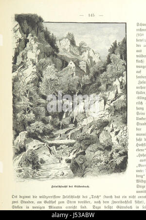 Immagine presa da pagina 295 di 'Der Schwarzwald ... Mit Illustrationen von W. Hasemann, etc' Foto Stock