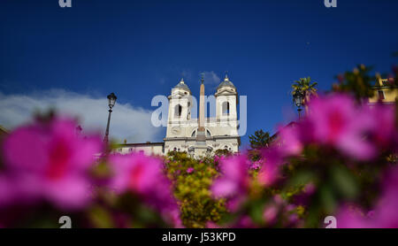 Scalinata di piazza di Spagna piena di fiori di rododendro per molla di Romano e la Chiesa della Trinità Foto Stock