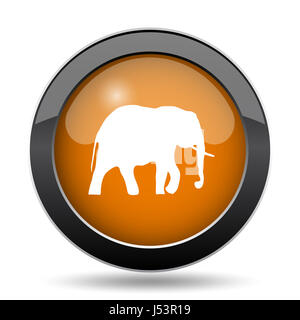 Icona di elefante. Sito web di elefante pulsante su sfondo bianco. Foto Stock