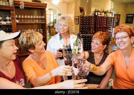 Eureka Springs Arkansas, Ozark Mountains, Keels Creek Water Winery and Art Gallery, adulti donna donna donna donna donna donna donna donna donna donna donna donna donna donna donna donna donna, degustazione di vino, hostess, bottiglie, gla Foto Stock