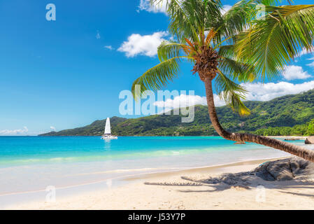 Incredibile spiaggia Seychelles. Foto Stock