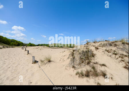Il paesaggio di dune Boberger o Boberger Duenen, nel sud-ovest di Amburgo, Germania. Foto Stock