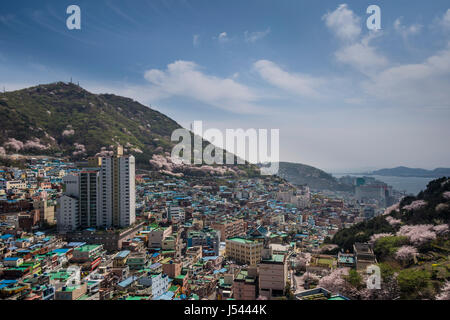 Dipinto luminosamente case in cultura Gamcheon Village, Busan Foto Stock