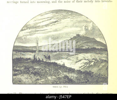 Immagine presa da pagina 382 di "[La Terra Santa e la Bibbia. Un libro della Scrittura illustrazioni raccolte in Palestina, ecc.]" Foto Stock