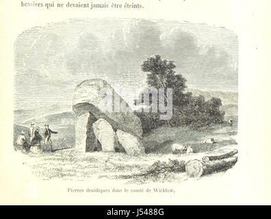 Immagine presa da pagina 39 del 'L'Irlande, depuis son origine jusqu'aux temps présents. [Con illustrazioni.]" Foto Stock