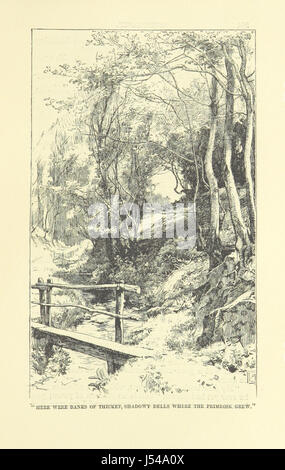 Immagine presa da pagina 405 del '[Springhaven. Un racconto della grande guerra ... Terza edizione.]" Foto Stock